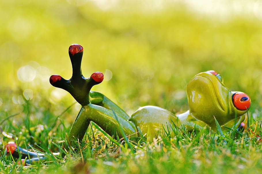 green frog on grass, meadow, relaxed, relaxation, figure, animal HD wallpaper