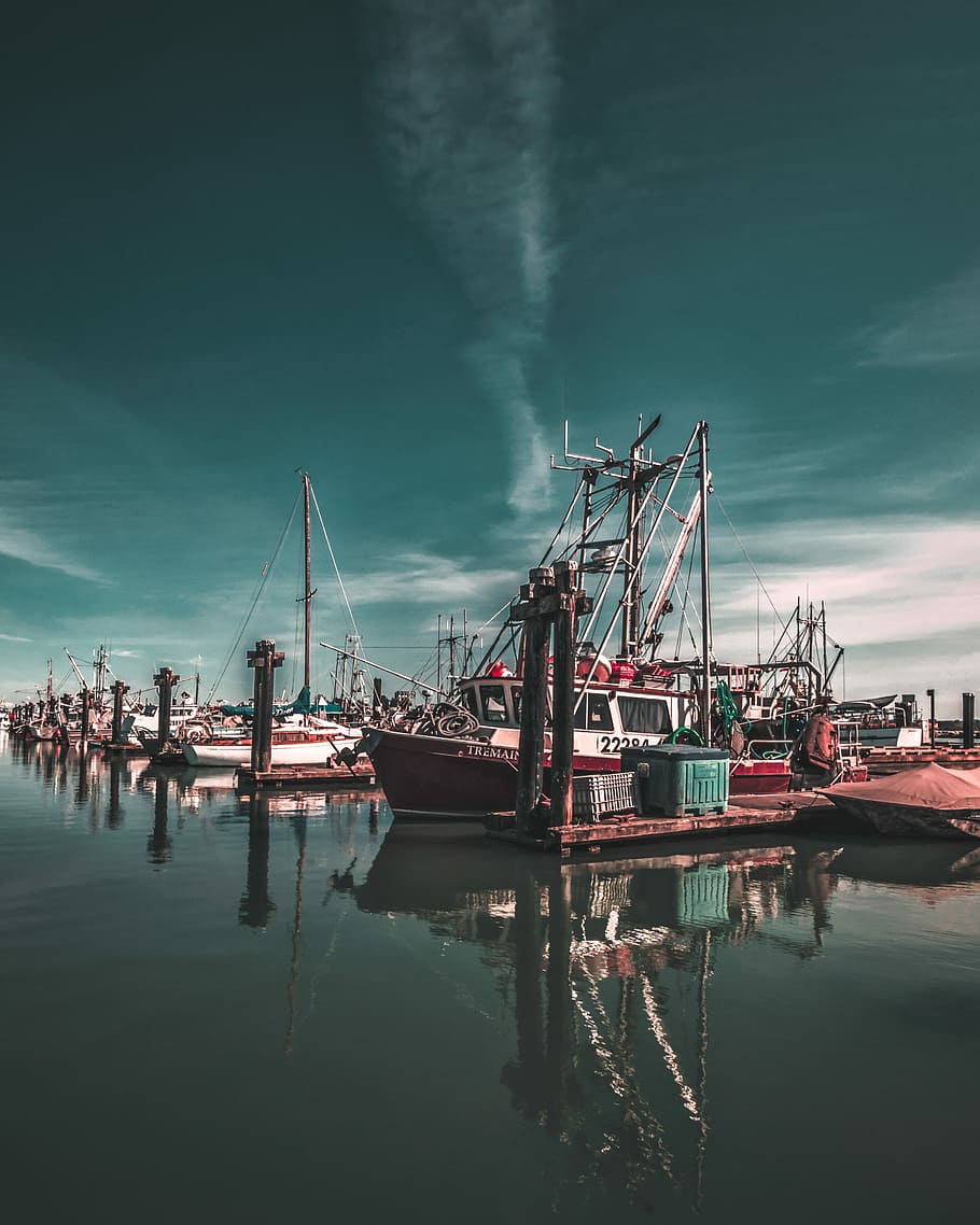 ships on body of water, yachts docked on pier, boat, reflection HD wallpaper