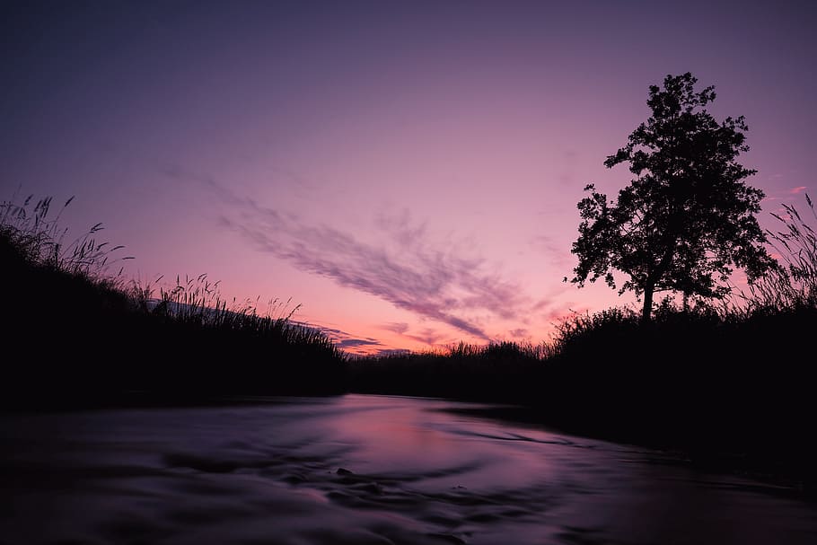 nature, landscape, trees, grass, field, sky, water, sunset HD wallpaper