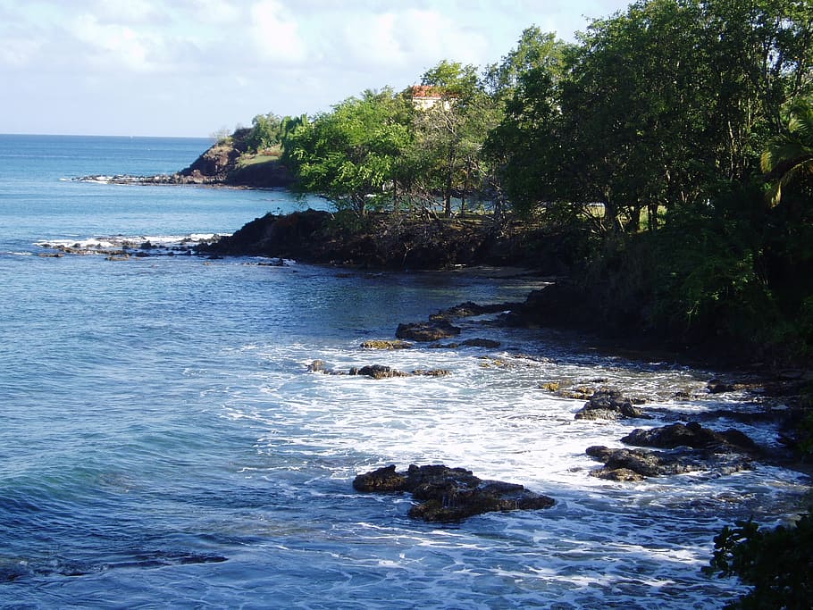 caribbean, water, idyll, sea, sky, tree, beauty in nature, scenics - nature HD wallpaper