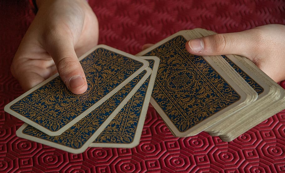 person holding playing cards, player, distribute, tarot, human hand HD wallpaper