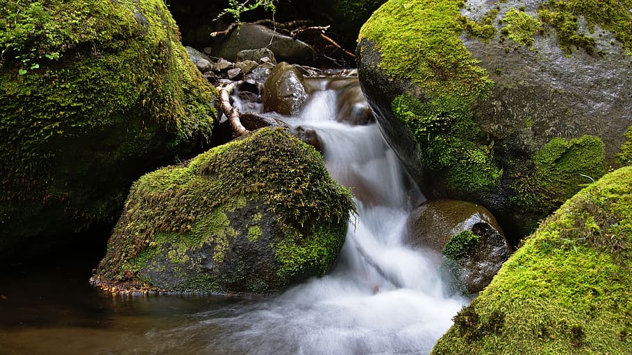 rocks, nature, green, moss, stream, water, beauty in nature HD wallpaper