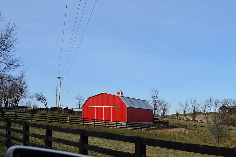 barn, rural, redneck, tranquility, vidasimples, nature, green HD wallpaper