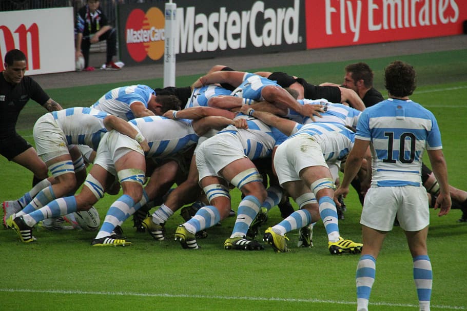 two team playing rugby on field, Players, World, Cup, Stadium, HD wallpaper