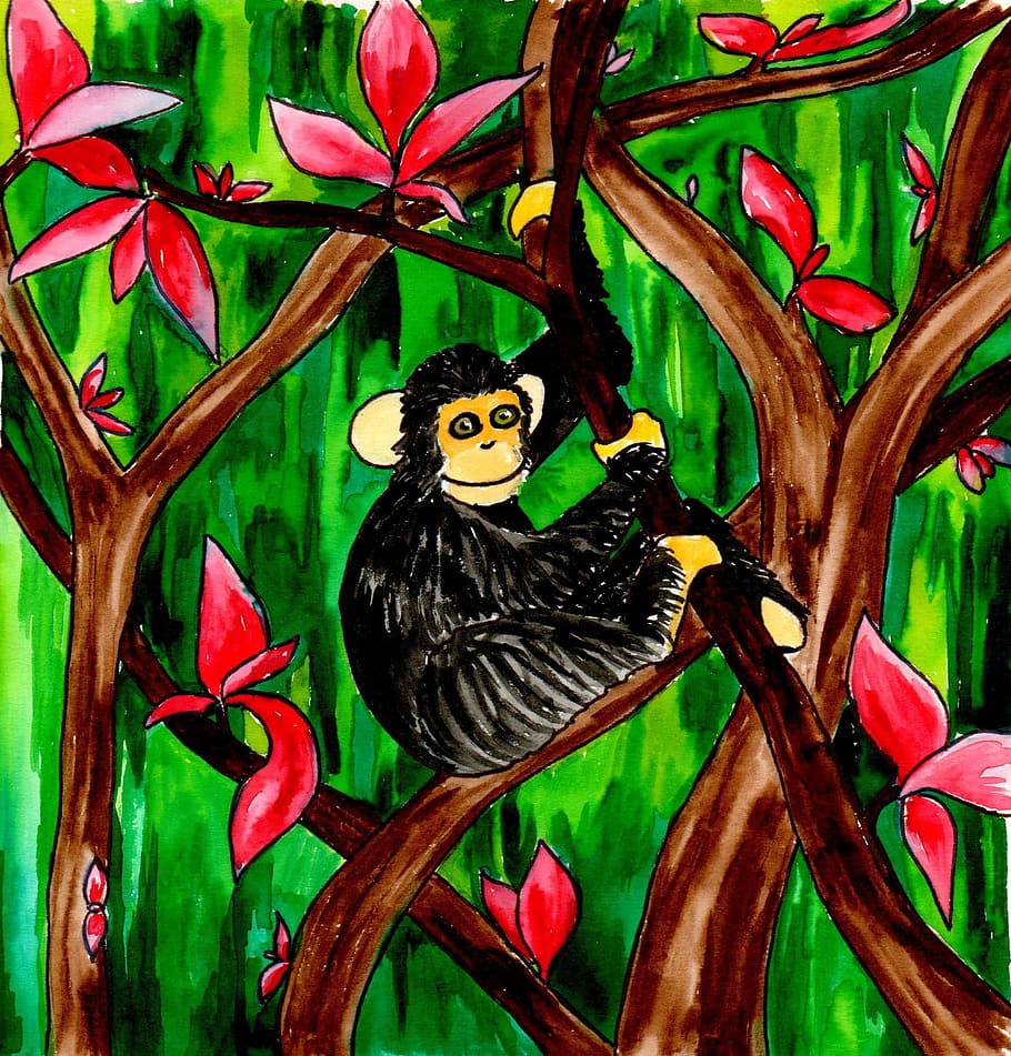 Watercolor, Illustration, Painting, monkey, chimp, art, animal themes, HD wallpaper