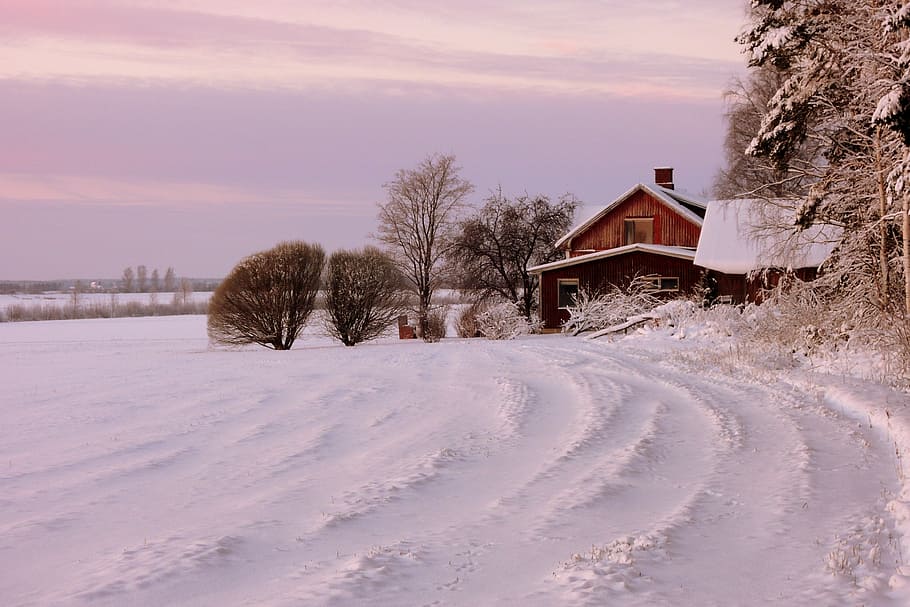 brown house coated with sniw, winter, snow, cold - Temperature HD wallpaper