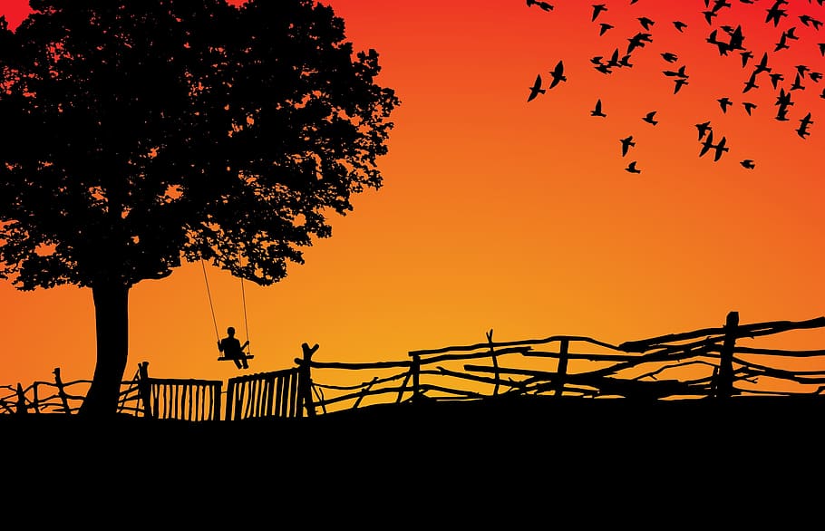 silhouette, sunset, dawn, tree, sky, nature, backlit, outdoors HD wallpaper