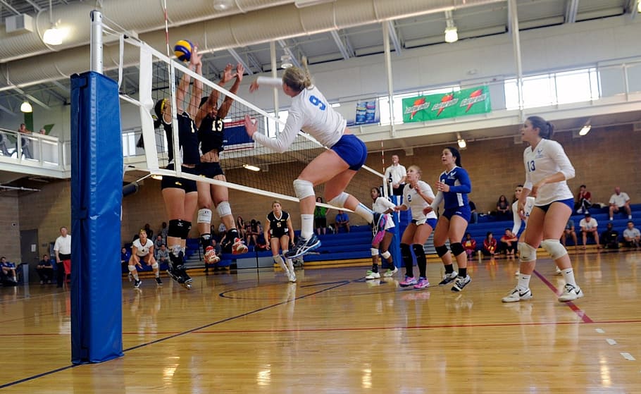women playing volleyball, return, spike, block, jump, serve, net