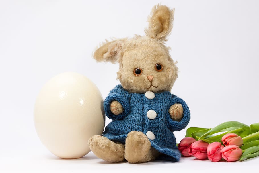 egg near plush toy photo, easter bunny, spring, frühlingsanfang, HD wallpaper