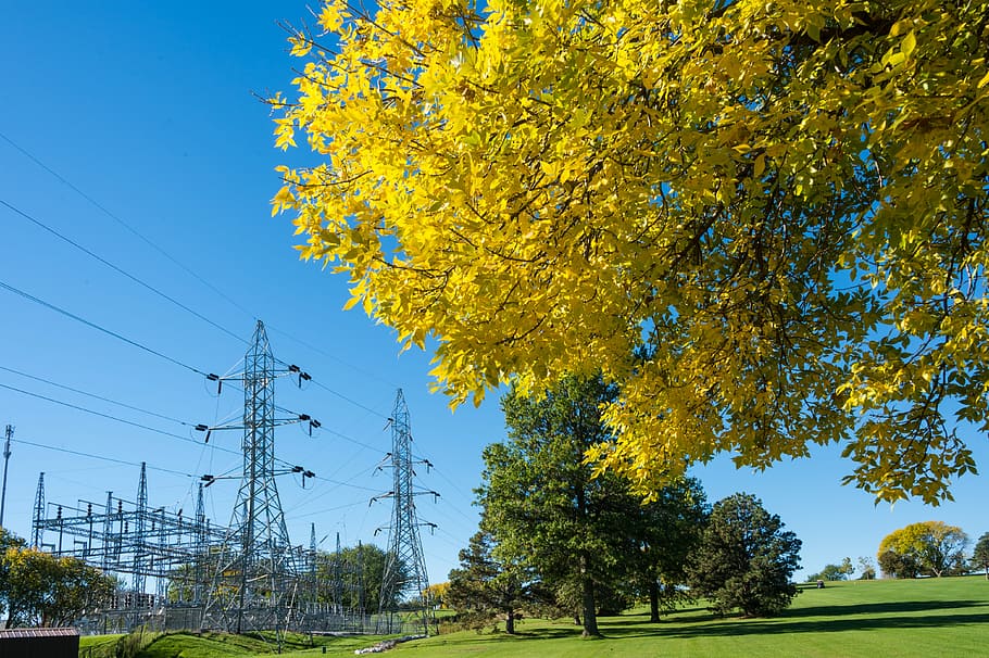 gray utility tower near trees, person taking photo of yellow and green leaf trees near structures and cables under blue sky at daytime