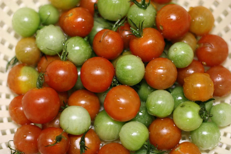 Cherry Tomatoes, green, red, washed, food and drink, no people HD wallpaper