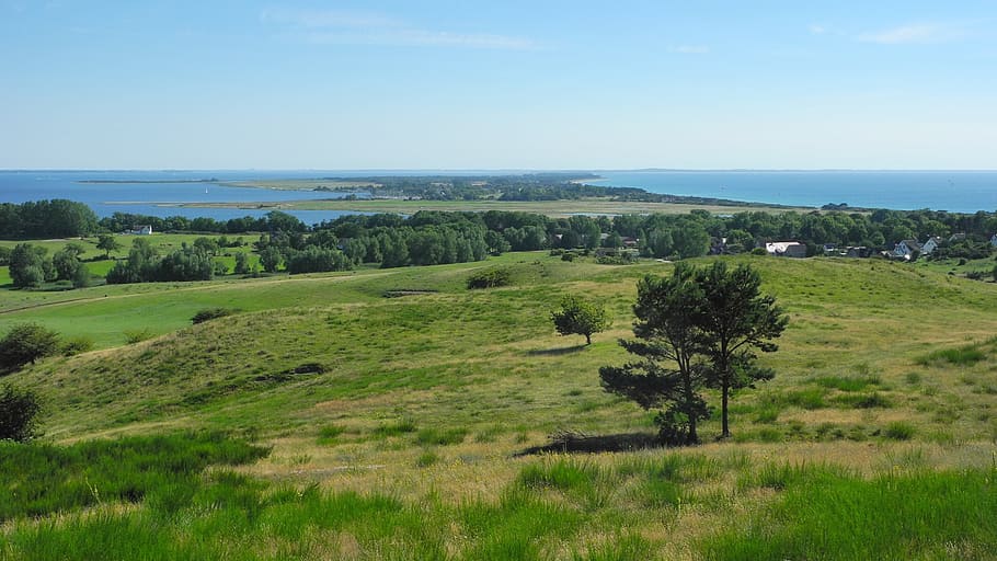 Hiddensee, View, Island, Landscape, nature, sea, water, field HD wallpaper
