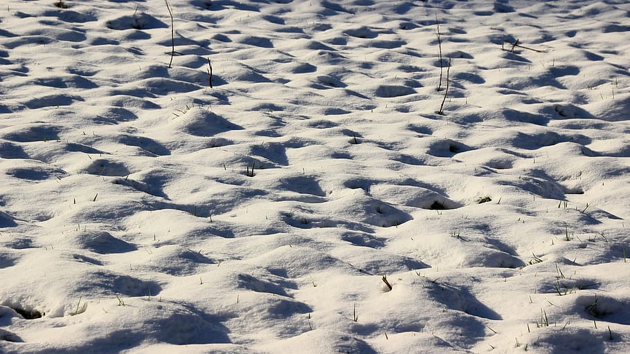 snow, sun, light, shadow, winter, wintry, snow landscape, winter mood HD wallpaper