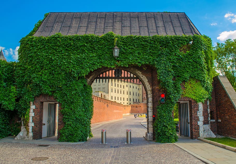 grass on ark, wawel, castle, krakow, poland, europe, gates, tourism, HD wallpaper