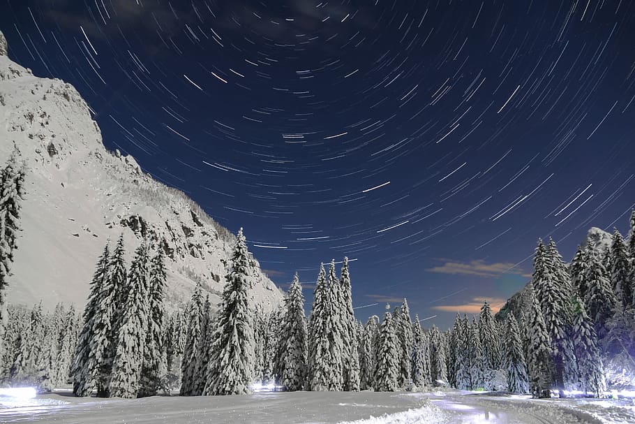 snow field with trees near mountain during daytime, tall trees covered by snow near road HD wallpaper