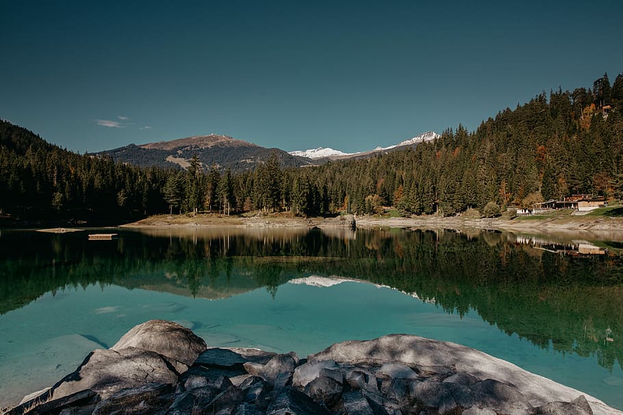 body of water near green trees under blue sky during daytime, body of water surrounded by trees HD wallpaper