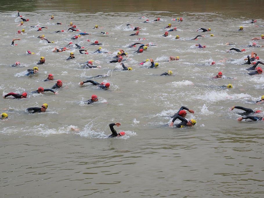 competition, crawl, involved, swim, track and field athletes HD wallpaper