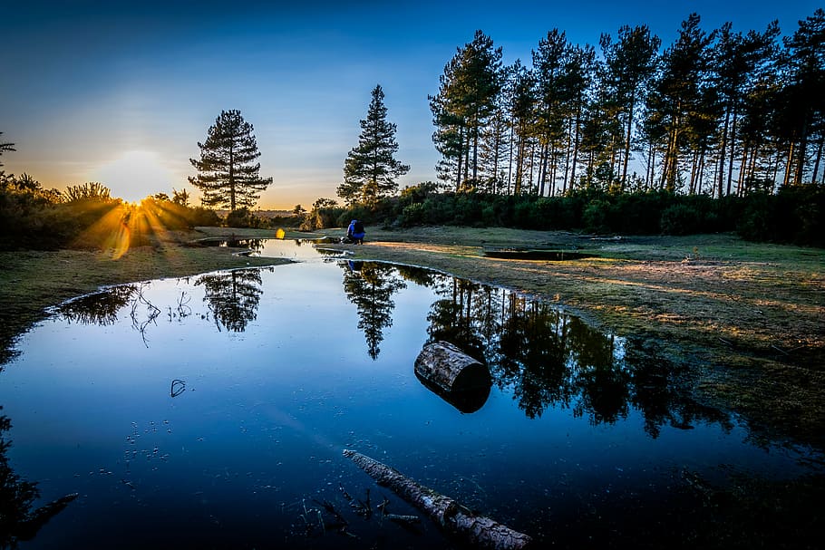 green leafed trees, sunset, nature, landscape, reflection, water HD wallpaper