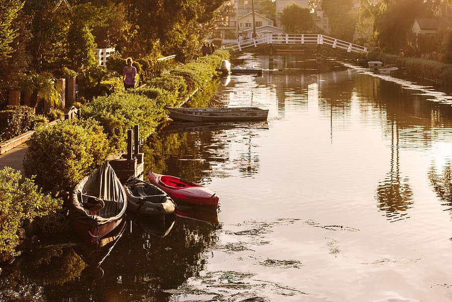 green, plant, tree, river, water, boat, sailing, adventure HD wallpaper