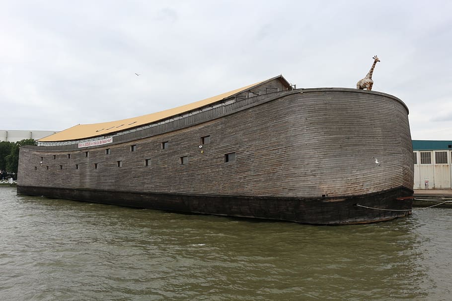 Ark, Rotterdam, Ship, Giraffe, archenoah, nautical vessel, water HD wallpaper