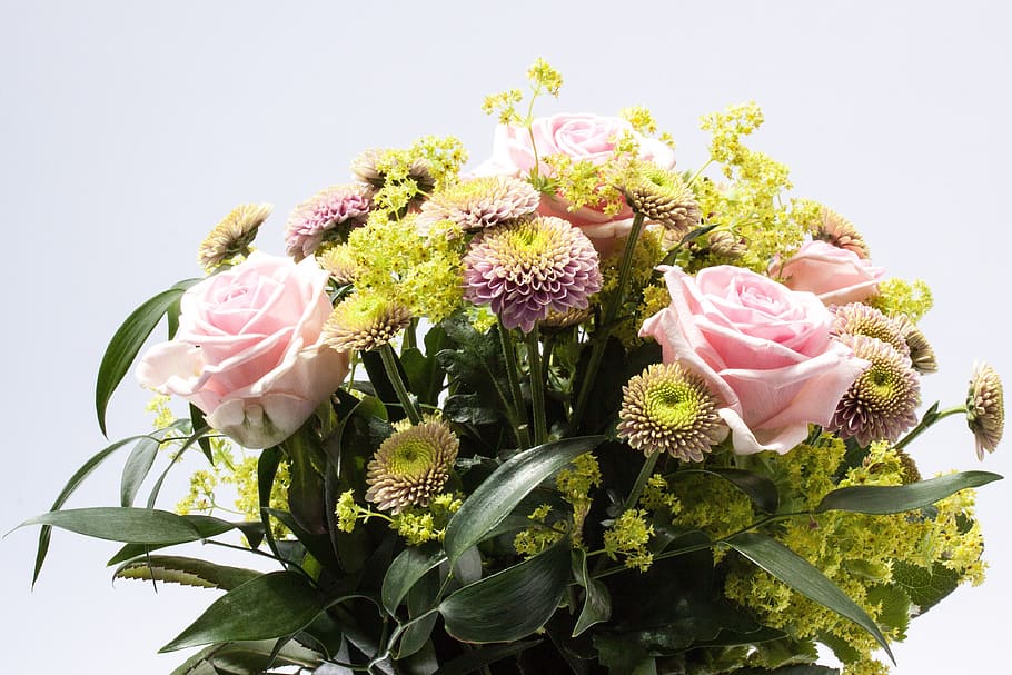 bouquet of flowers, roses, composites, spring, nature, plant HD wallpaper