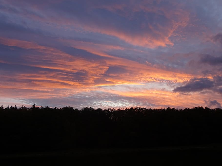 sunset, dawn, sky, twilight, clouds, west, trees, drama, heaven HD wallpaper