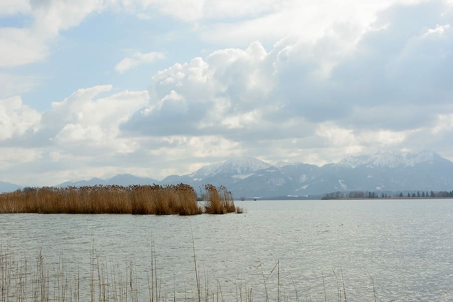 Water, Lake, Clouds, Reed, Chiemsee, mountains, nature, landscape HD wallpaper