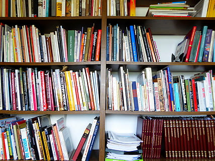 book collection on wooden shelf, books, bookshelf, reading HD wallpaper