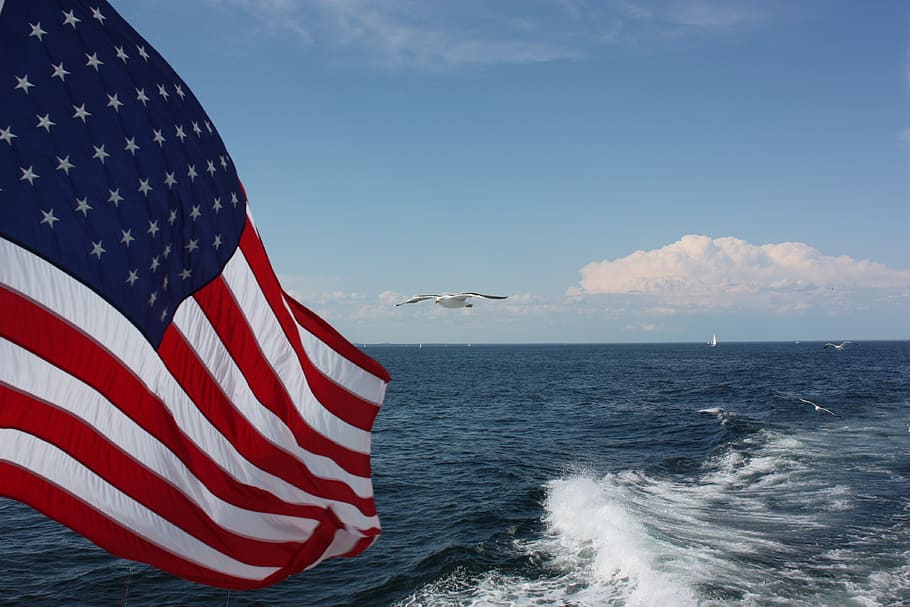 U.S.A flag beside body of water, ocean, sea, seagull, bird HD wallpaper