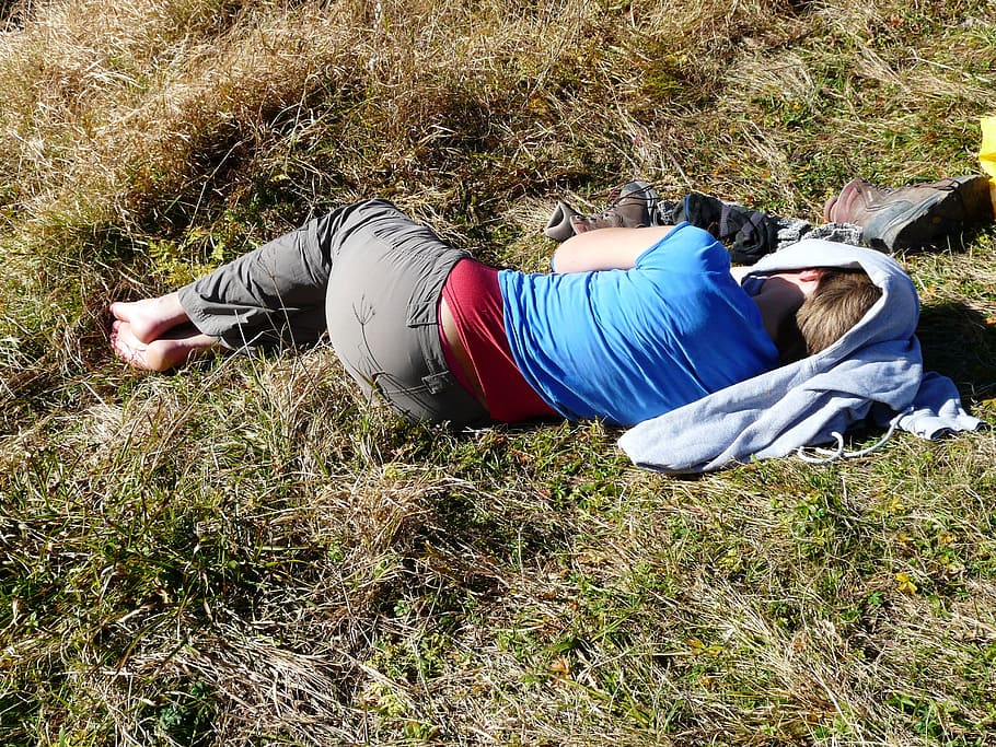 Sleep, Rest, Click, Relax, concerns, rest pause, grass, meadow HD wallpaper
