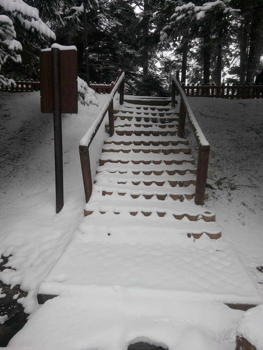 Stairs, Snow, Winter, steps and staircases, railing, built structure HD wallpaper