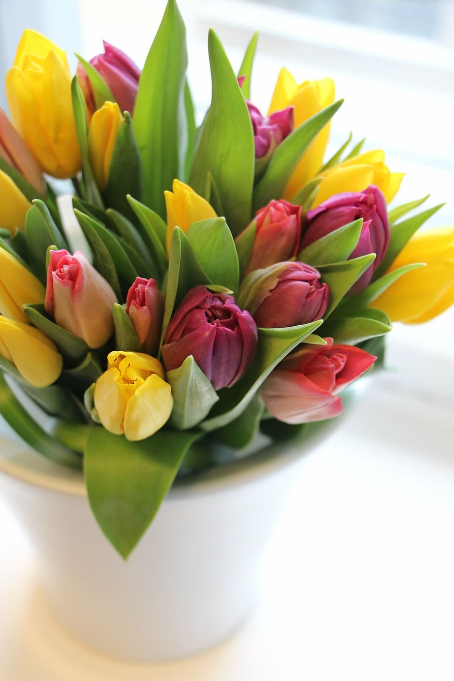 tulip, spring, sun, yellow, flower, bouquet, freshness, vase HD wallpaper