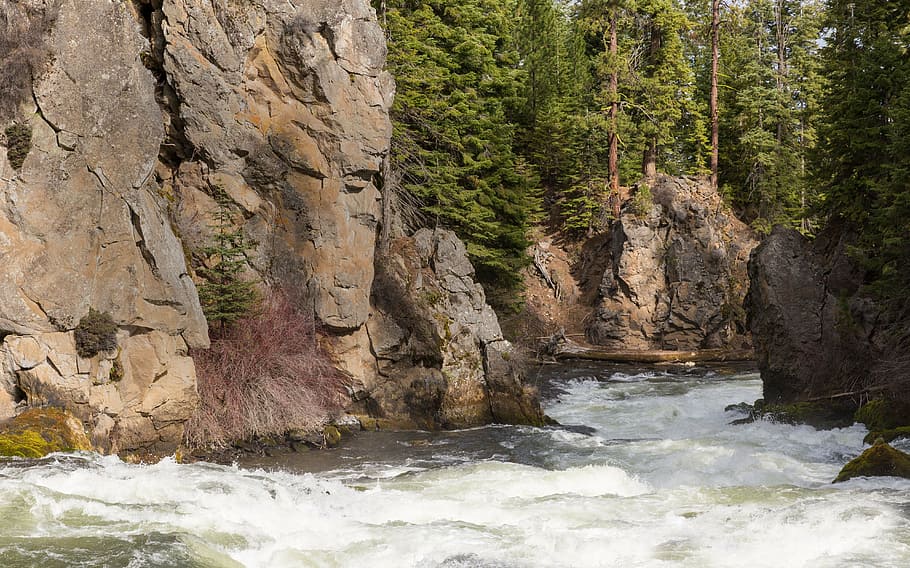 river, mountains, nature, mountain stream, forest, rocks, pine HD wallpaper