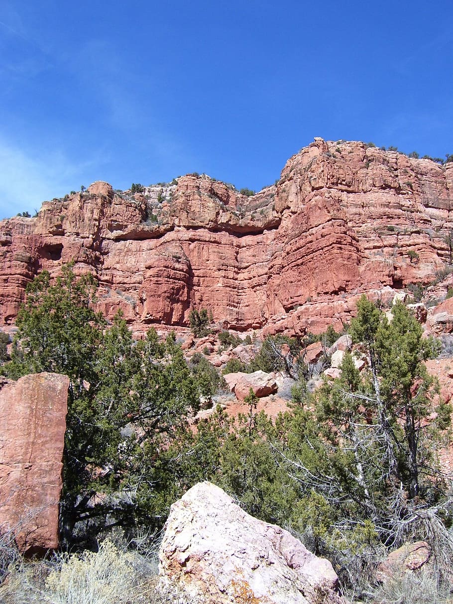 red rocks, red canyon, red cliffs, nature, uSA, utah, landscape HD wallpaper
