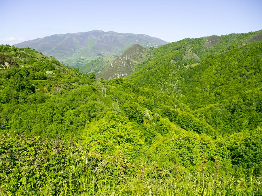 Nature, Landscape, Mountains, green color, lush foliage, scenics HD wallpaper