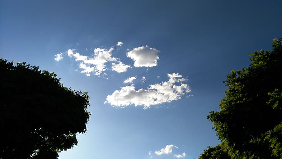 sky, clouds, sunset, blue, tree, cloud - sky, plant, low angle view HD wallpaper