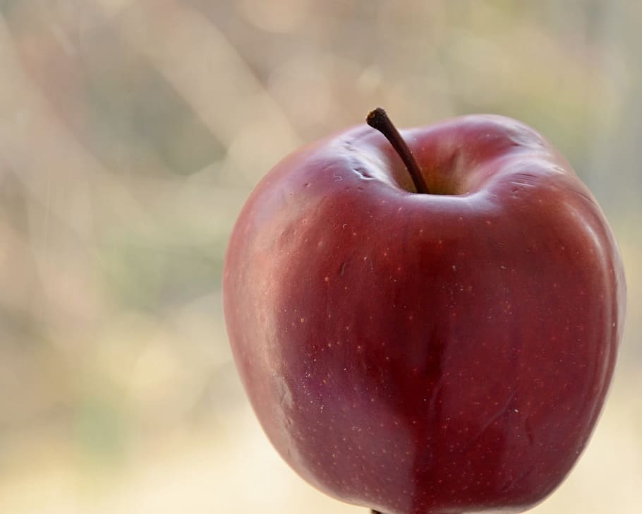 Apple, Fruit, Closeup, Summer, red, apples, still life, food and drink HD wallpaper