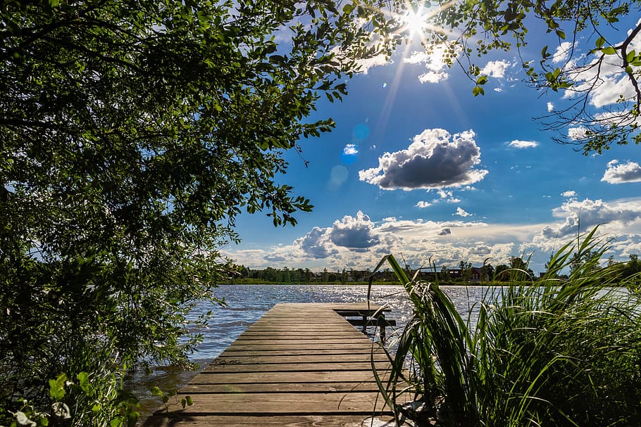 brown wooden dock in the middle of green grasses, panorama, photo, HD wallpaper