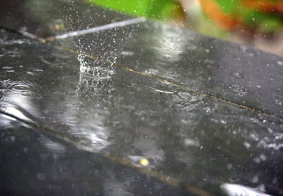 rain, raindrop, water, nature, weather, motion, wet, selective focus HD wallpaper