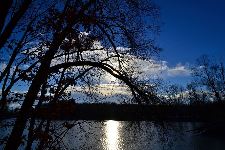 tree, lake, mirroring, sky, blue, sun, rays, light, clouds HD wallpaper