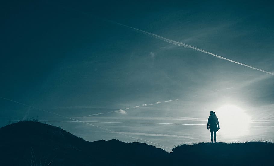 silhouette of person, photography, human, standing, near, grasses HD wallpaper