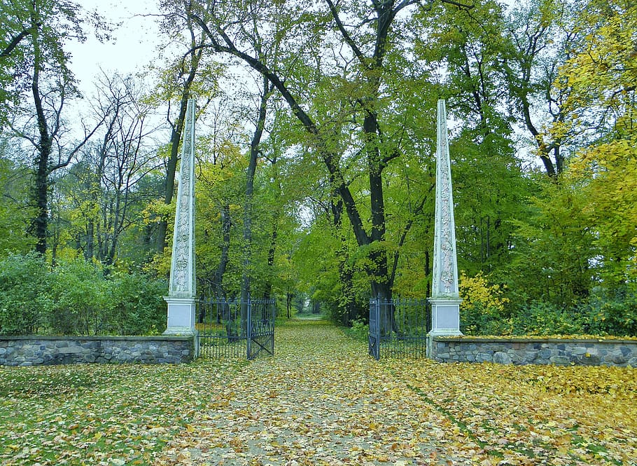 park, input, goal, columnar, trees, autumn, leaf, nature, outdoors HD wallpaper