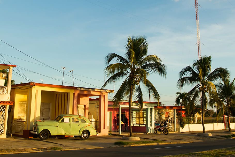 green vehicle park ahead beside house and palm trees, cuba HD wallpaper
