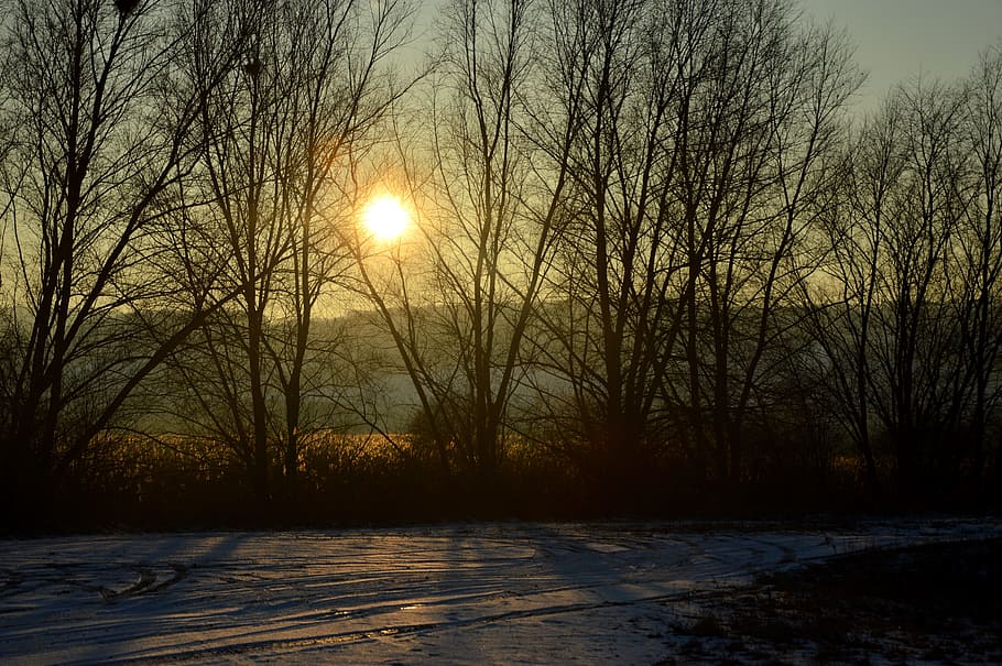 Winter, Evening, Snow, Landscape, Lake, sonnenunetrgang, cold HD wallpaper