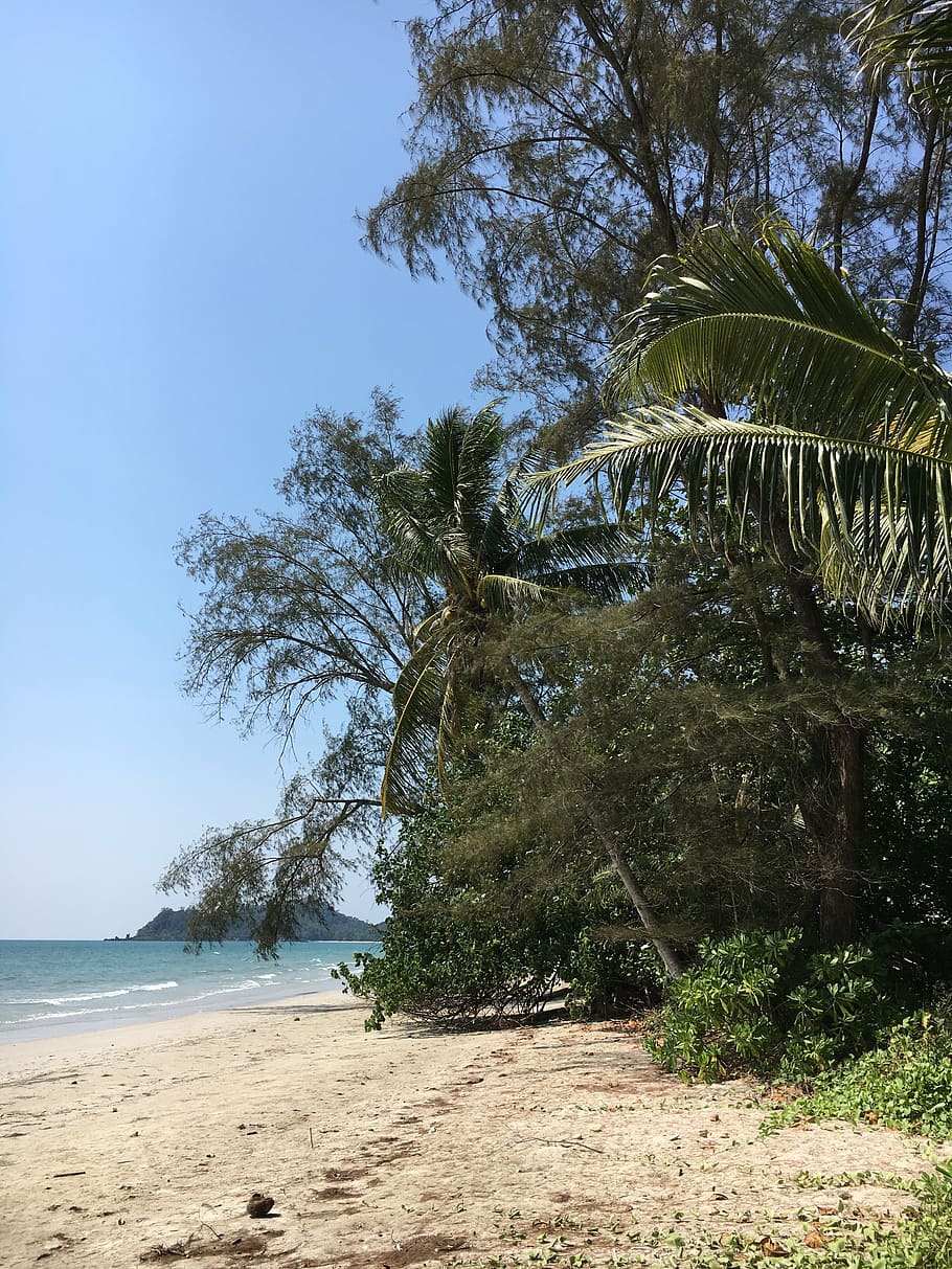 HD wallpaper: asia, thailand, koh chang, palm trees, landscape, beach