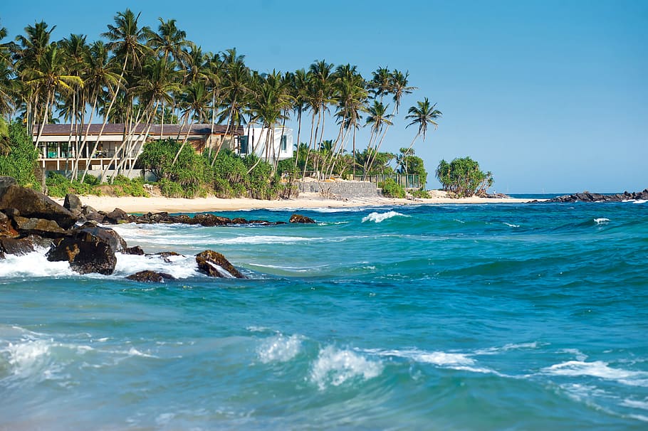 sea, beach, vacation, sand, coast, ocean, outdoors, palm trees, HD wallpaper