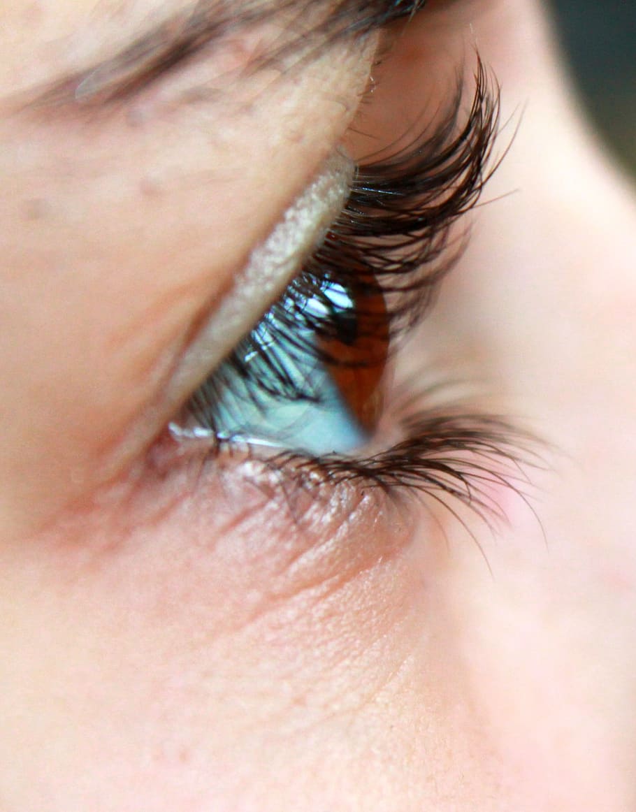 closeup photo of human eye, eyelashes, face, pupil, woman, human body part HD wallpaper