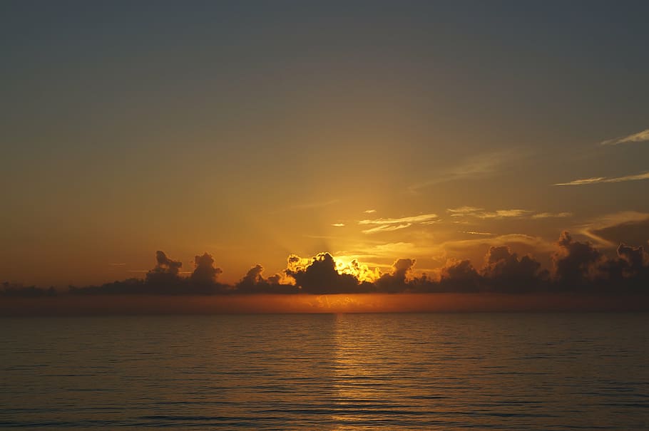 sunset, ocean, water, sky, sea, coastline, sunrise, beach, tranquil HD wallpaper