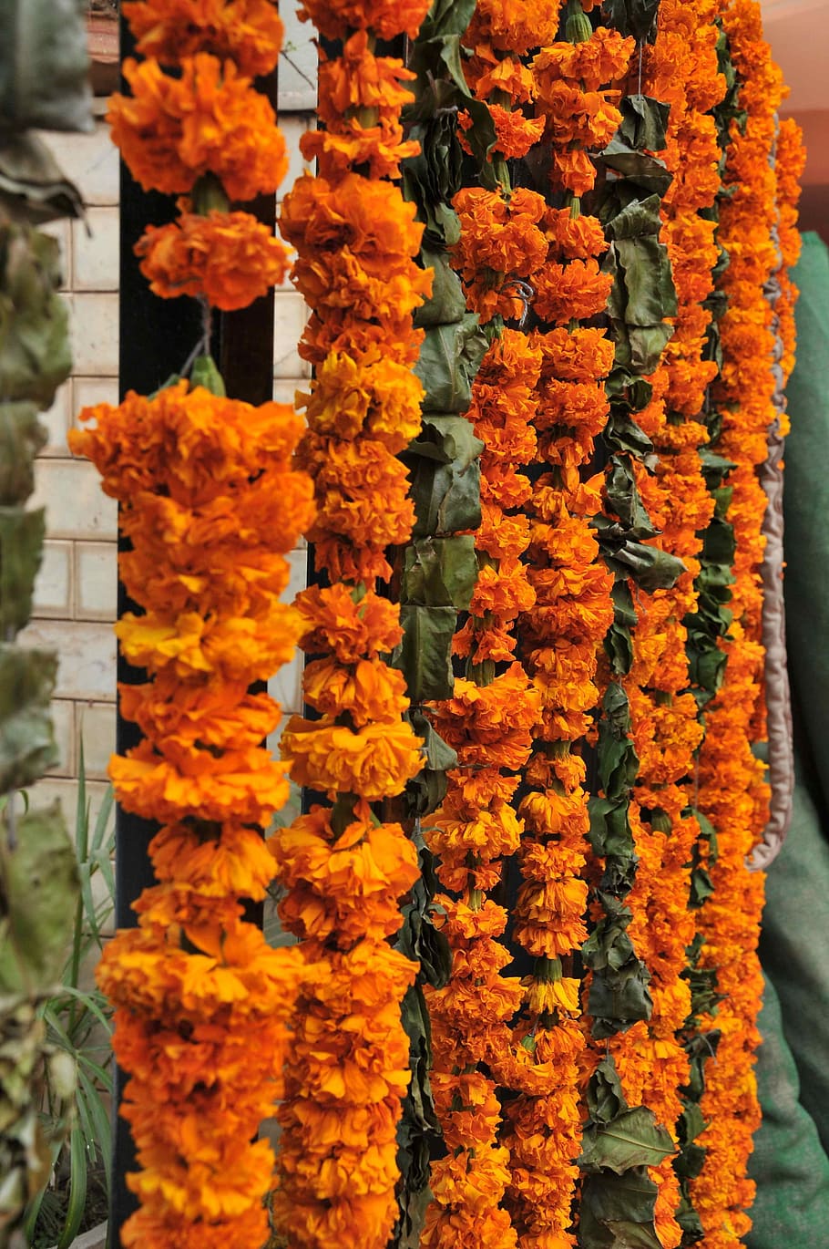 hanged orange flowers beside wall, garland, decoration, marraige