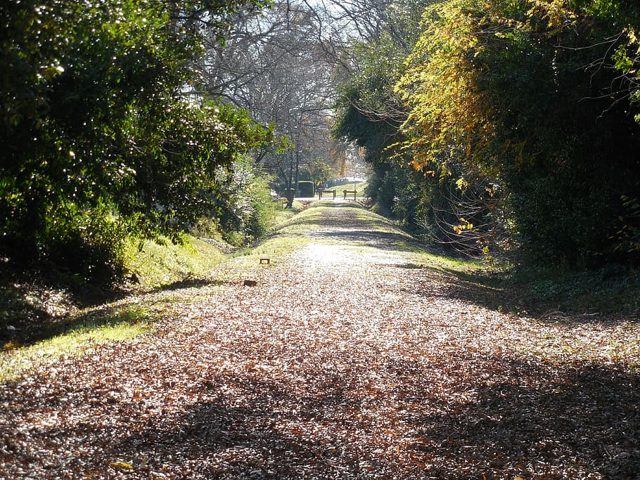 Walking Trail, Bicycle Path, bike, road, outdoor, walkway, nature HD wallpaper